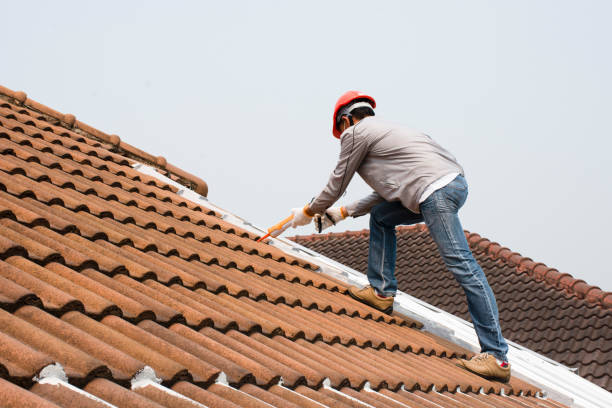 Steel Roofing in Florida Ridge, FL